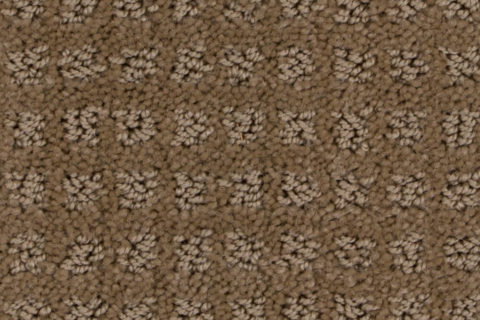 Basenji-carpet